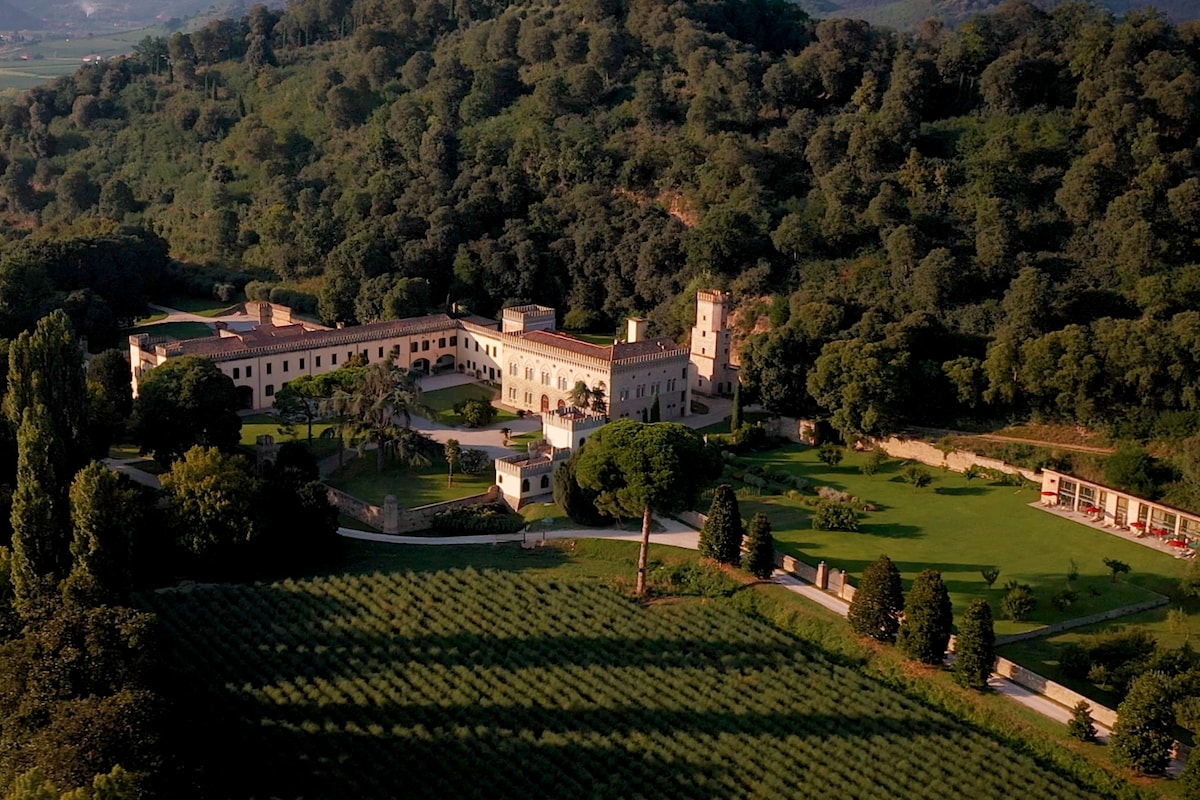 Verona countryside villa and vineyard at golden hour